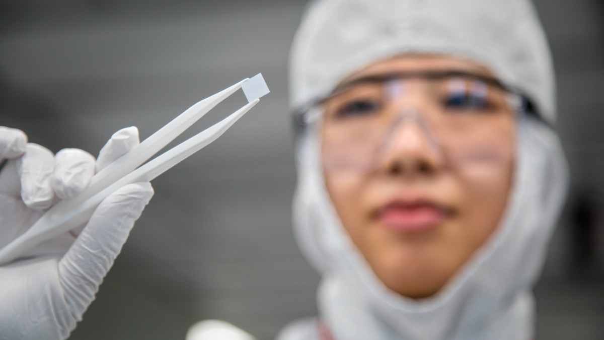 A scientist examines a small rectangular object