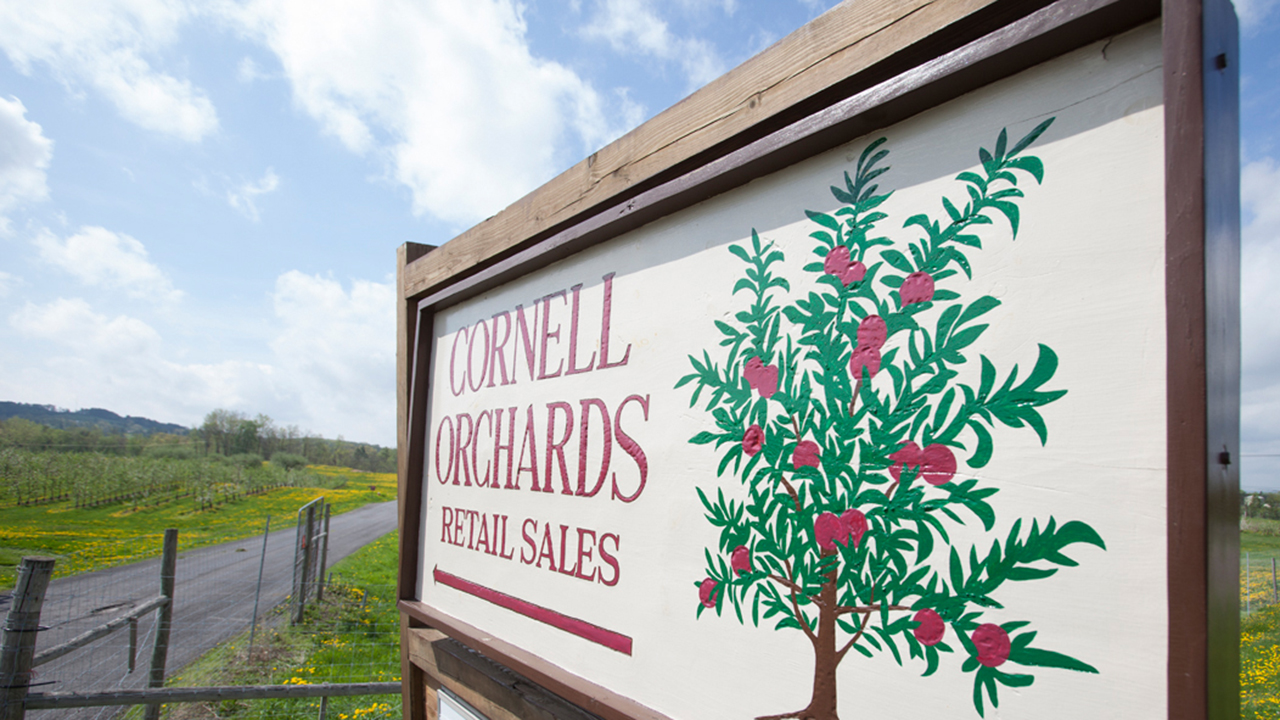 A sign for Cornell Orchards retail sales.