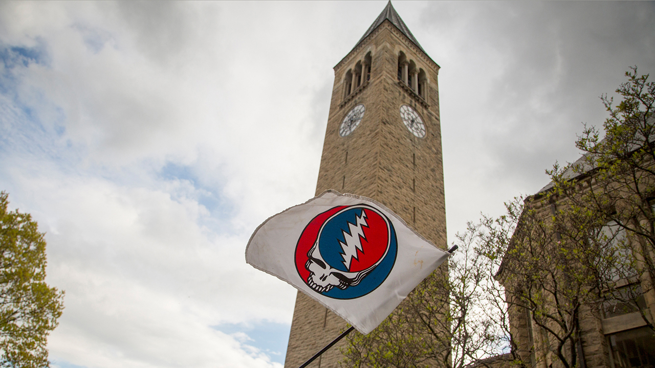 Grateful dead flag in front of McGraw Tower.