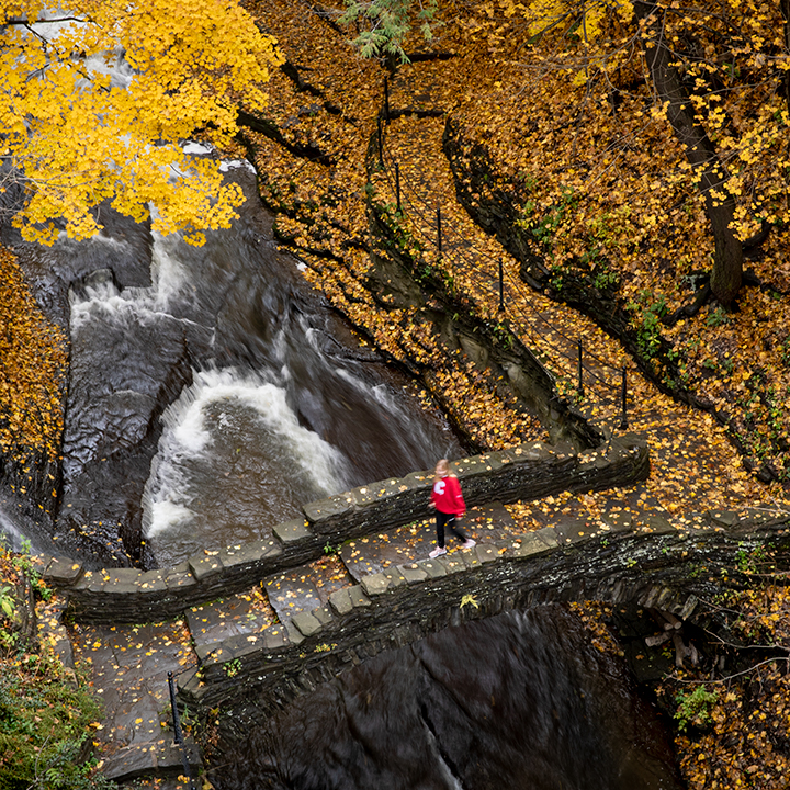 Students enjoy a warm fall walk down Cascadilla Gorge near Stewart Avenue.
