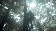 person climbing a tree in a jungle